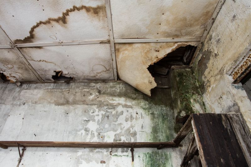 Foundation Leak Repair in Fort Myers, FL