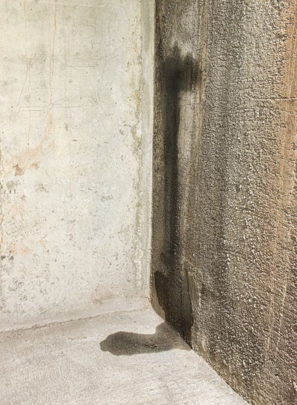 Leaking Basement Repair in Sarasota, FL