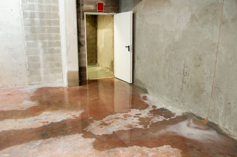 Wet Basement Repair in Fredericksburg, VA